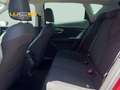 SEAT 2.0 TDI 110kW (150CV) St&Sp FR Plus Rojo - thumbnail 8