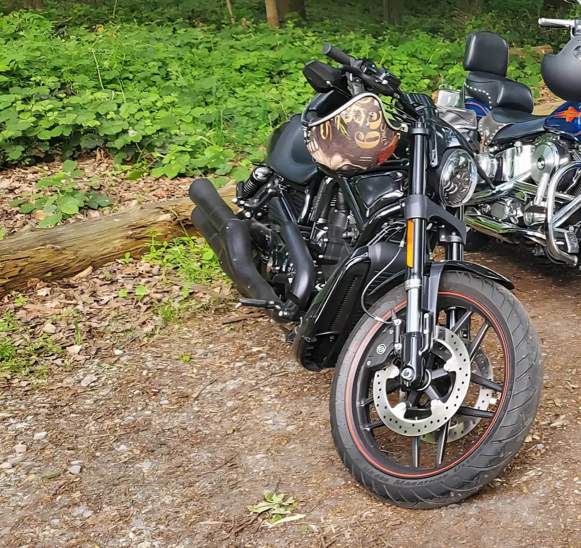 Harley-Davidson Night Rod Spezial Noir - 2