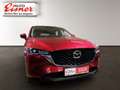Mazda CX-5 G165 ADVANTAGE Sitz und Lenkradheizung Rot - thumbnail 16