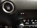 Mazda CX-5 G165 ADVANTAGE Sitz und Lenkradheizung Rot - thumbnail 18