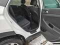 Hyundai TUCSON Tucson 2,0 CRDI 4WD Edition 25 Aut. *Eintausch*... Weiß - thumbnail 12