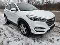 Hyundai TUCSON Tucson 2,0 CRDI 4WD Edition 25 Aut. *Eintausch*... Weiß - thumbnail 1