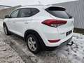 Hyundai TUCSON Tucson 2,0 CRDI 4WD Edition 25 Aut. *Eintausch*... Weiß - thumbnail 5
