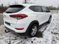 Hyundai TUCSON Tucson 2,0 CRDI 4WD Edition 25 Aut. *Eintausch*... Weiß - thumbnail 7