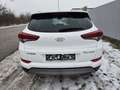 Hyundai TUCSON Tucson 2,0 CRDI 4WD Edition 25 Aut. *Eintausch*... Weiß - thumbnail 6