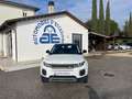 Land Rover Range Rover Evoque Range Rover Evoque 5p 2.0 td4  150cv Bianco - thumbnail 1