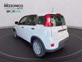 Fiat Egyéb Panda My25 1.0 70cv Hybrid Pan Fehér - thumbnail 12
