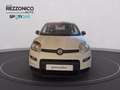 Fiat Egyéb Panda My25 1.0 70cv Hybrid Pan Fehér - thumbnail 2