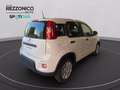Fiat Egyéb Panda My25 1.0 70cv Hybrid Pan Fehér - thumbnail 4