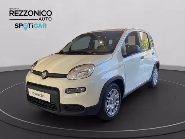 Fiat Panda My25 1.0 70cv Hybrid Pan