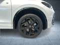 Volkswagen Tiguan R-Line Hybrid DSG AHK R-KAMERA ParkAssist Weiß - thumbnail 8