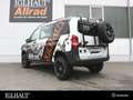 Mercedes-Benz Vito 116 CDI IGLHAUT Allrad 17" ALU TOP-AIR Beyaz - thumbnail 6