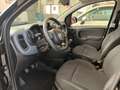 Fiat Panda Panda III 2021 1.0 firefly hybrid s Nero - thumbnail 3
