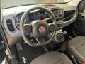 Fiat Panda Panda III 2021 1.0 firefly hybrid s Nero - thumbnail 9