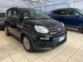 Fiat Panda Panda III 2021 1.0 firefly hybrid s Nero - thumbnail 4
