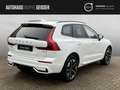 Volvo XC60 T8 AWD Plug-in-Hybrid Ultra Dark Facelift Weiß - thumbnail 7