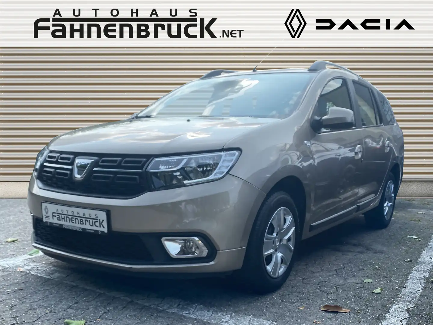 Dacia Logan MCV TCe 90 Kombi Allwetter Trenngitter Beige - 1