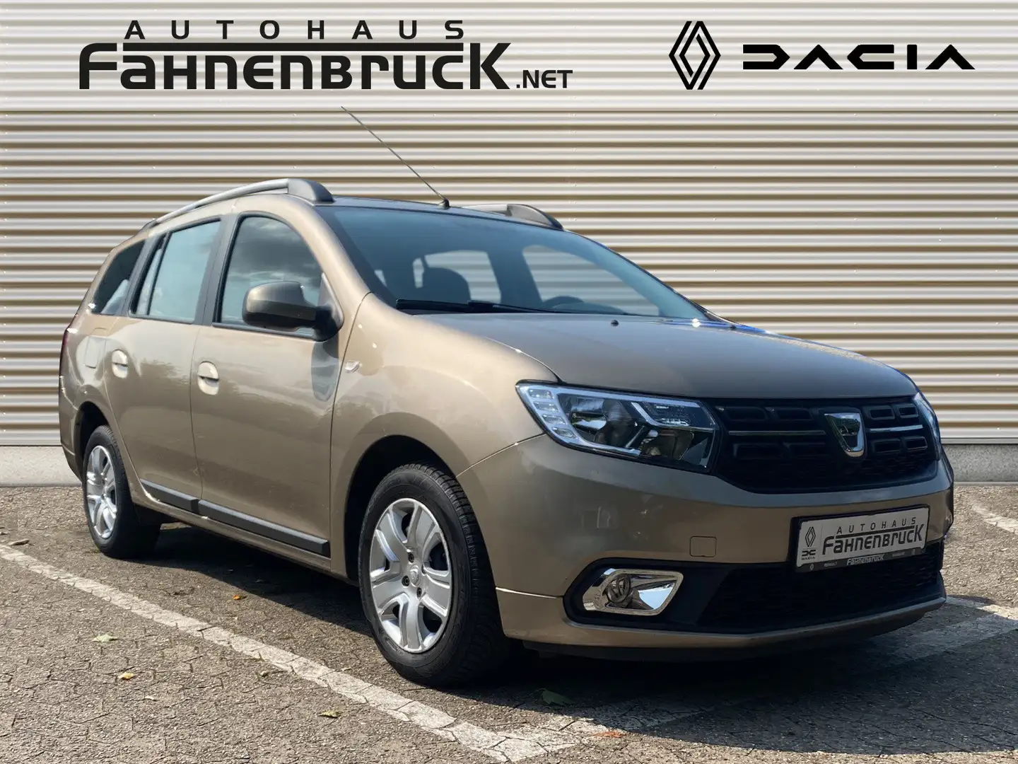 Dacia Logan MCV TCe 90 Kombi Allwetter Trenngitter Beige - 2