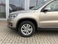 Volkswagen Tiguan 1.4 TSI Trend&Fun 6-Gang NUR HÄNDLER! Klima Beige - thumbnail 6
