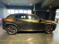 Lexus Hybrid 4WD Executive Groen - thumbnail 8