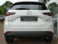 Mazda CX-5 2023 e-SKYACTIV-G 194 Exclusive-Line Blanco - thumbnail 5