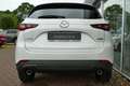 Mazda CX-5 2023 e-SKYACTIV-G 194 Exclusive-Line Bianco - thumbnail 4