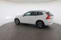 Volvo XC60 XC 60 B4 (Benzin) 2WD Mild Hybr. Momentum Pro Mild Weiß - thumbnail 16