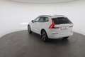 Volvo XC60 XC 60 B4 (Benzin) 2WD Mild Hybr. Momentum Pro Mild Weiß - thumbnail 17