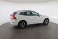 Volvo XC60 XC 60 B4 (Benzin) 2WD Mild Hybr. Momentum Pro Mild Weiß - thumbnail 8