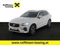 Volvo XC60 XC 60 B4 (Benzin) 2WD Mild Hybr. Momentum Pro Mild Weiß - thumbnail 1