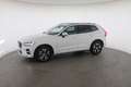 Volvo XC60 XC 60 B4 (Benzin) 2WD Mild Hybr. Momentum Pro Mild Weiß - thumbnail 14