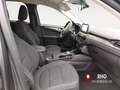 Ford Kuga 2.0 ecoblue Titanium X 2wd 120cv auto Grau - thumbnail 16