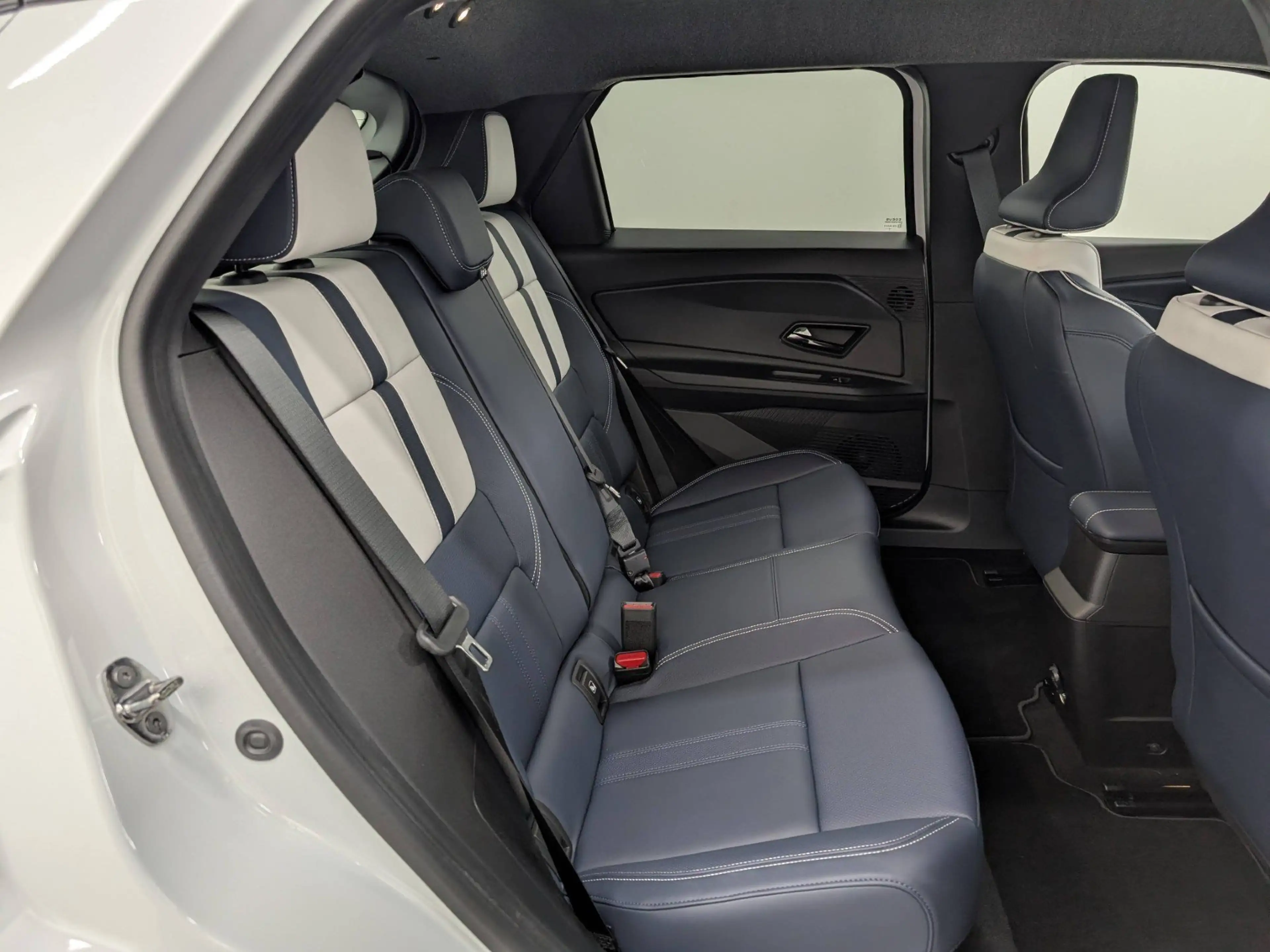 Alpine A290 Premiere Edition Beta-Design Nappa — photo 11