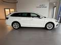 Skoda Octavia Combi 2,0 TDI Style DSG Weiß - thumbnail 6