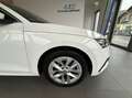 Skoda Octavia Combi 2,0 TDI Style DSG Weiß - thumbnail 7