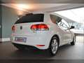 Volkswagen Golf Match 1.2TSI Sitzh Klimaauto Einparkh Weiß - thumbnail 9