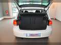 Volkswagen Golf Match 1.2TSI Sitzh Klimaauto Einparkh Weiß - thumbnail 21