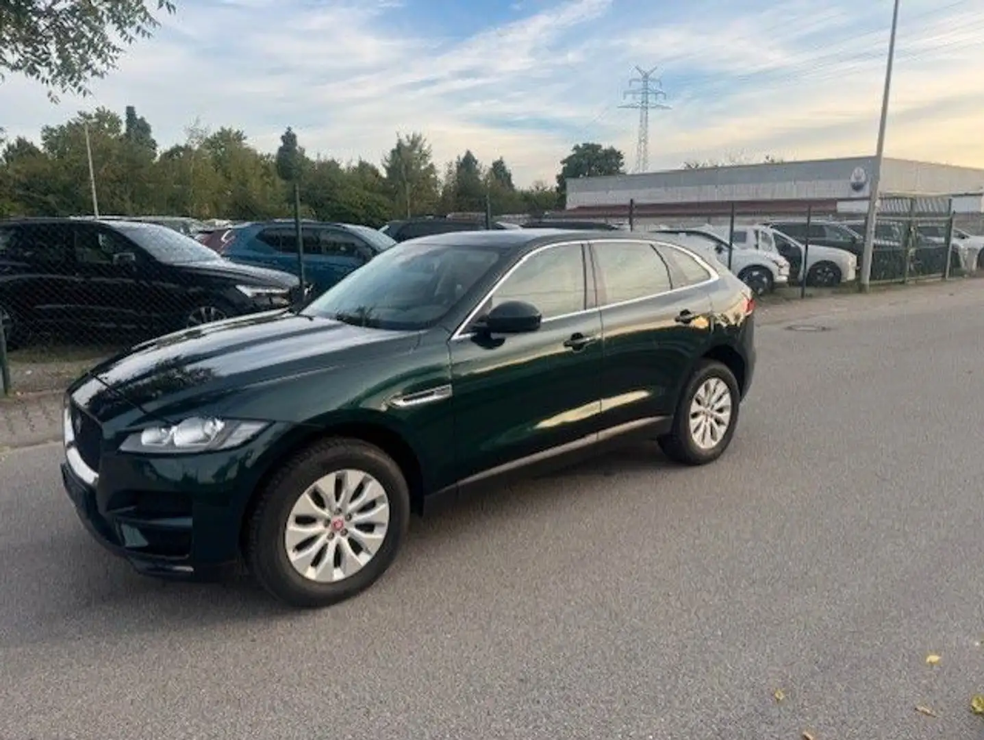 Jaguar F-Pace 30d AWD Prestige Automatik Grün - 2