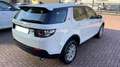 Land Rover Discovery Sport 2.0 Diesel – 150 CV - thumbnail 5