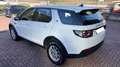 Land Rover Discovery Sport 2.0 Diesel – 150 CV - thumbnail 7
