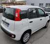 Fiat Panda Panda 1.2 EasyPower Easy Bianco - thumbnail 3