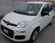Fiat Panda Panda 1.2 EasyPower Easy Bianco - thumbnail 1