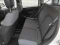 Fiat Panda Panda 1.2 EasyPower Easy Bianco - thumbnail 13