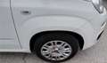 Fiat Panda Panda 1.2 EasyPower Easy Bianco - thumbnail 7