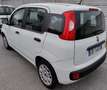 Fiat Panda Panda 1.2 EasyPower Easy Bianco - thumbnail 2