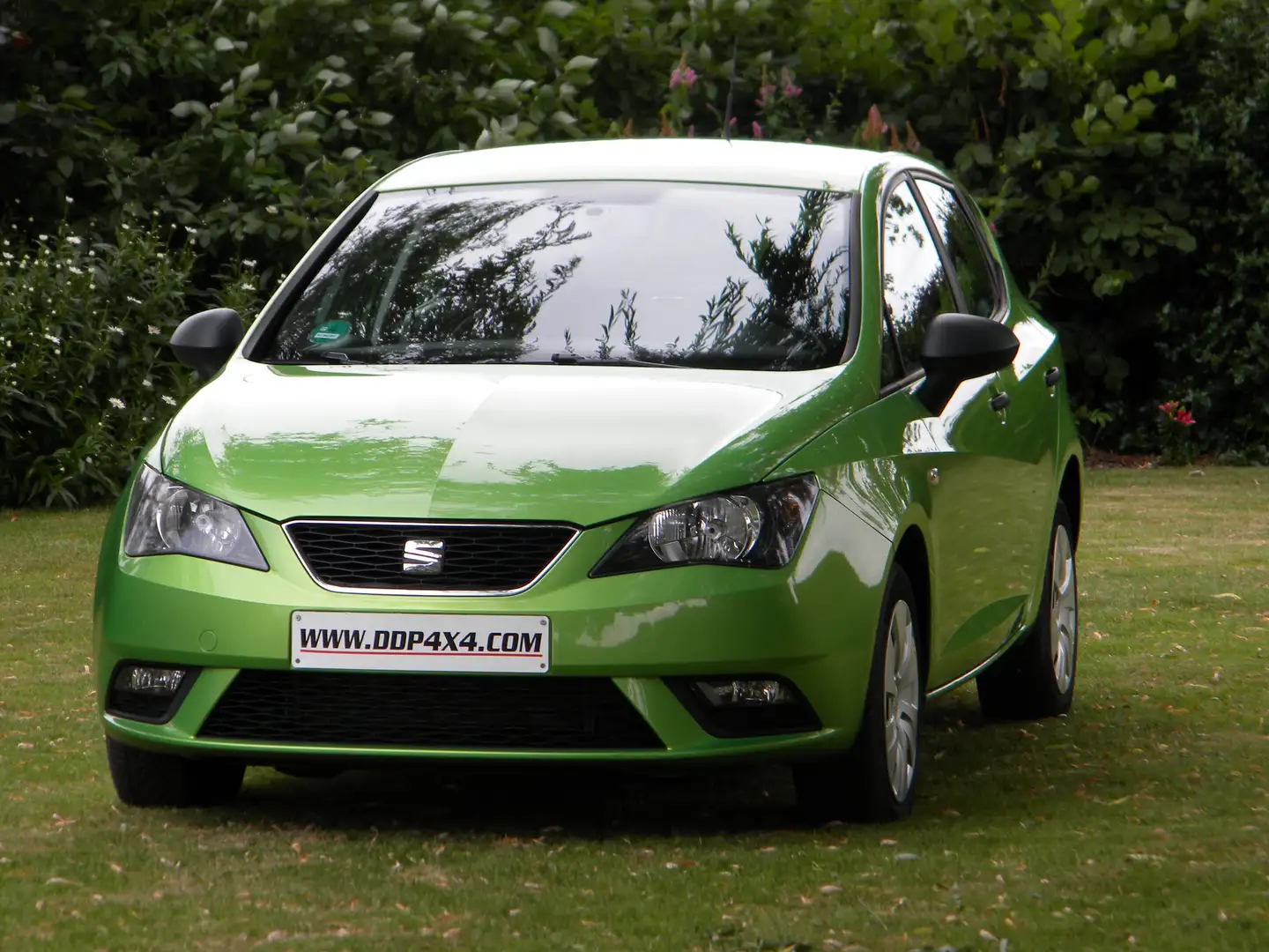 SEAT Ibiza 1.4i Style Vert - 1