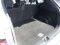 Hyundai TUCSON 1.6 TGDI 110kW 150CV 48V Maxx Blanco - thumbnail 11