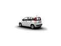 Fiat Panda 1.0 Hybrid 70 6MT Wit - thumbnail 2