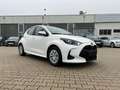 Mazda 2 1.5 CVT Pure **ACC Klimaautomatik DAB+** Weiß - thumbnail 5