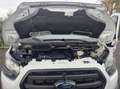 Ford Transit 330 2.0 tdci 130cv trend L2H2 E6.2 Bianco - thumbnail 14
